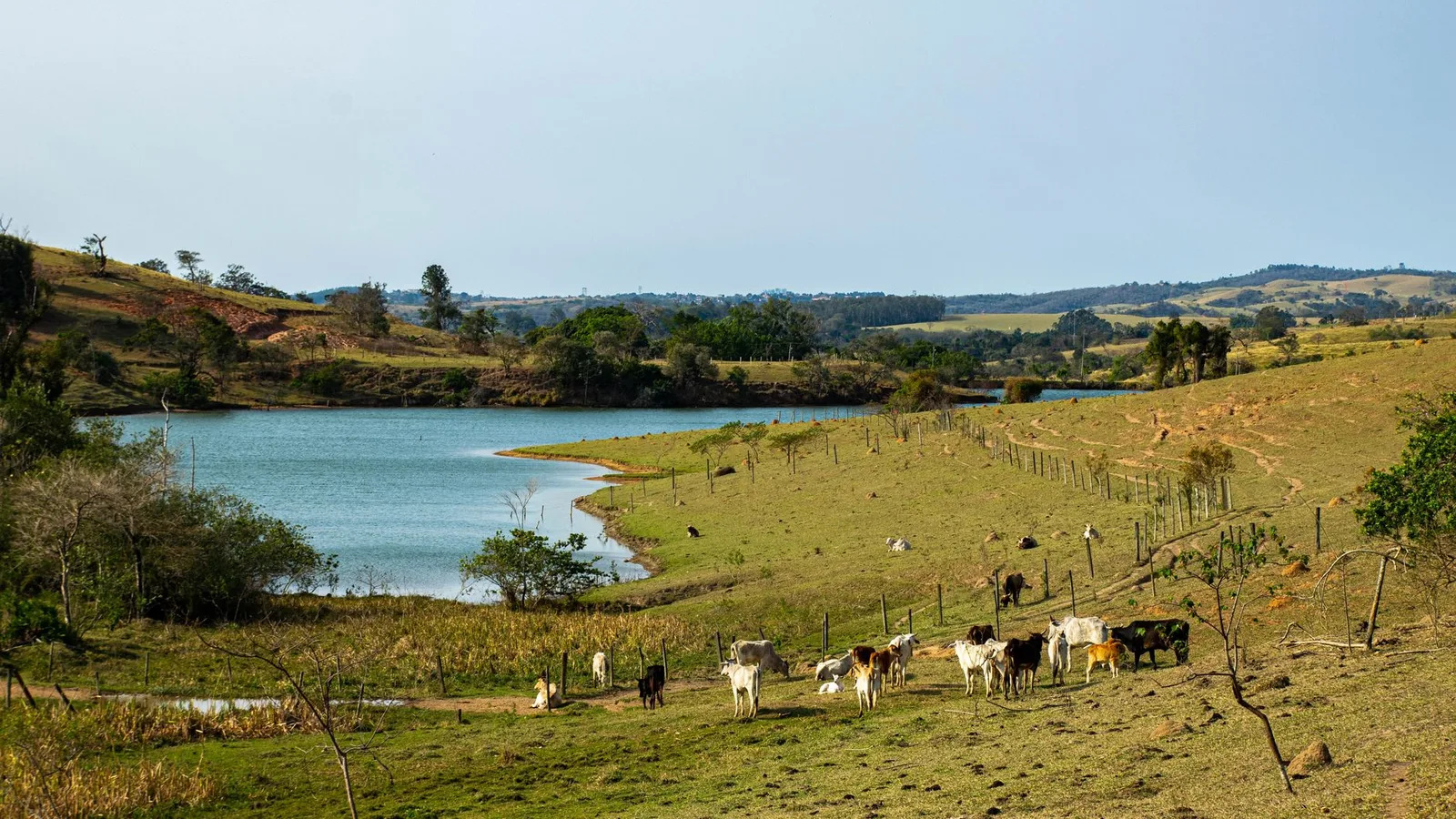 US$ 50 bilhões para a saúde rural: o caso da automação centrada nas pessoas